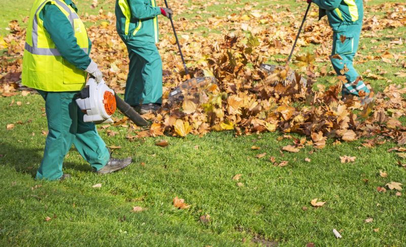 Contact About Leaf Collection Services