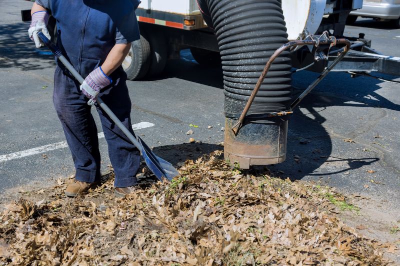 Leaf Collection Service Promotions