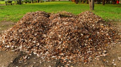 Provide a Neat and Clean Look with Leaf Collection!
