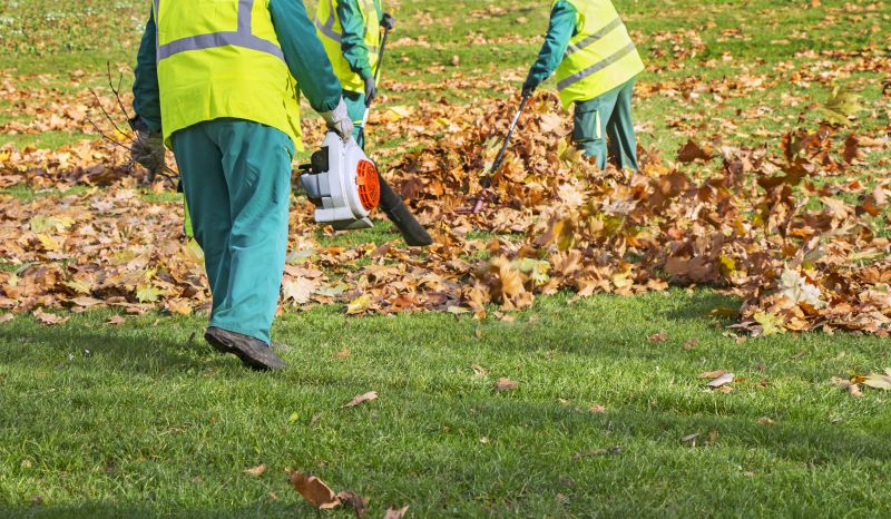 Leaf Collection Services