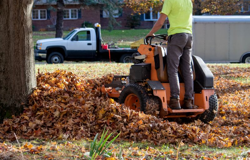 Fall Lawn Cleanup Service