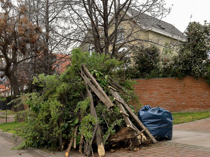 Yard with Piled Leaves