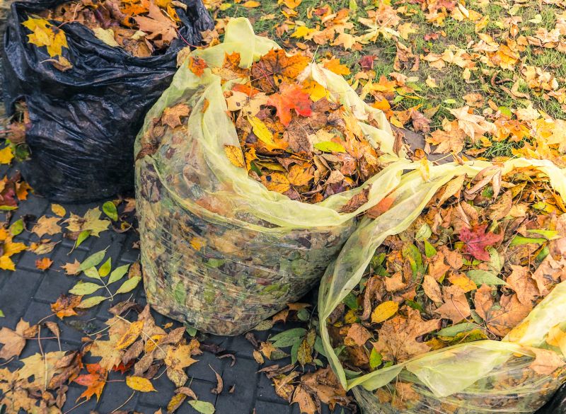 Collected Leaves in Dumpsters