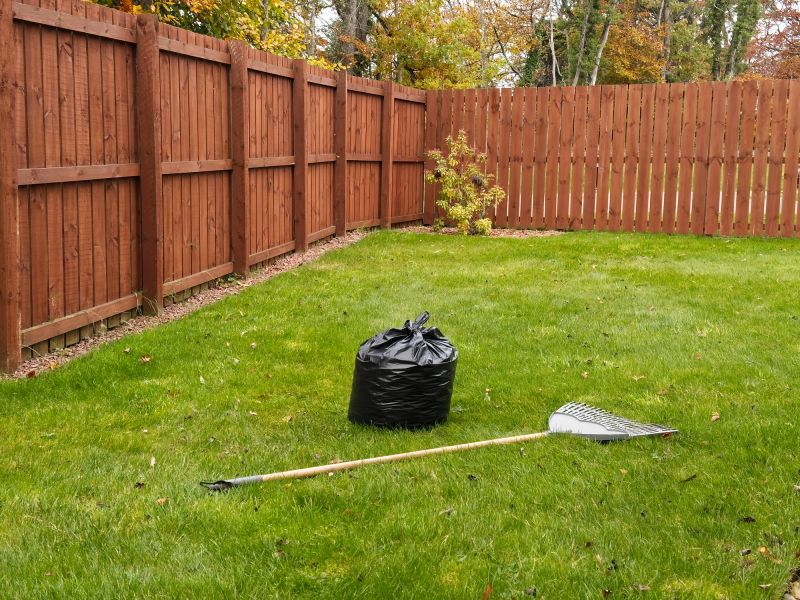 Clean Yard After Leaf Removal