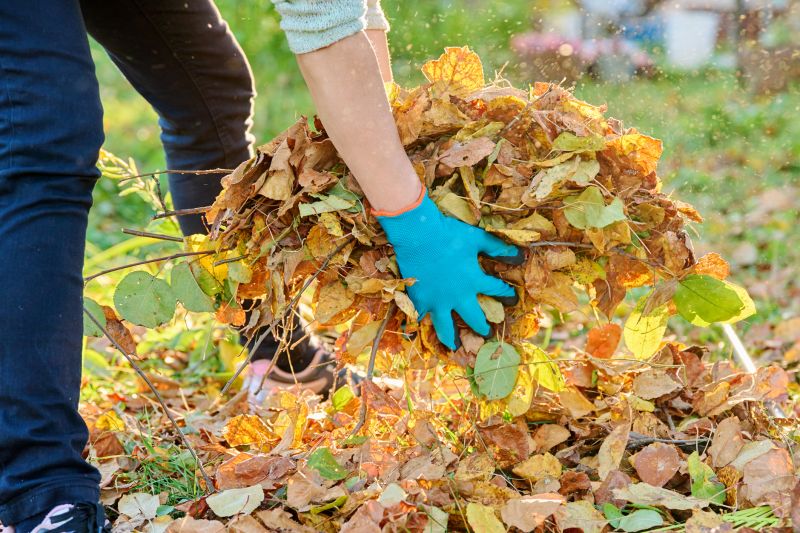 Leaf Collection Services