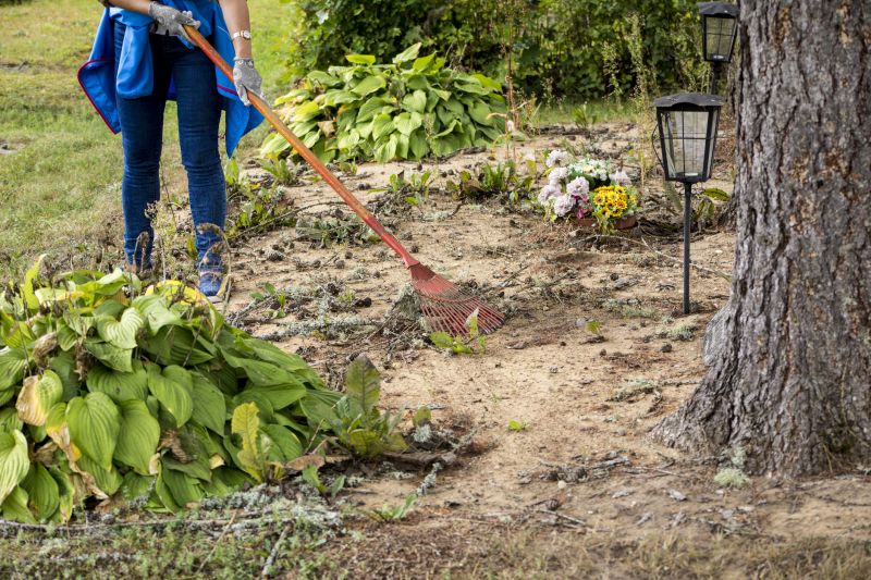 Leaf Collection Services