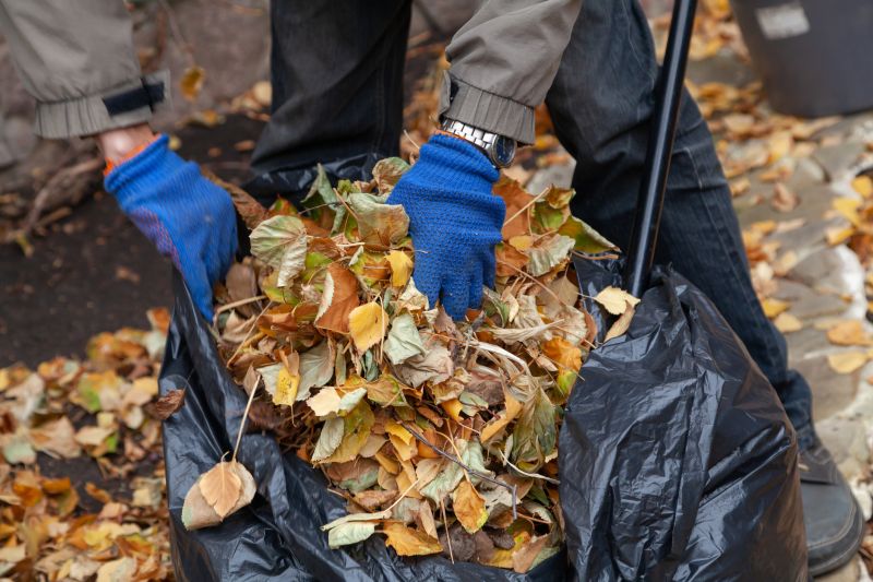 Leaf Collection Services
