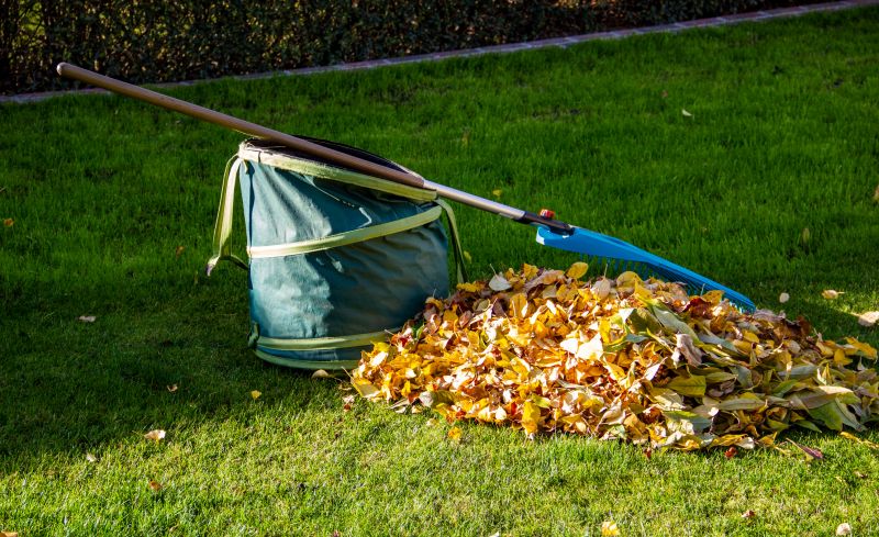 Leaf Collection Services