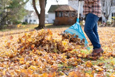 Prevent Leaves from Becoming a Safety Hazard!